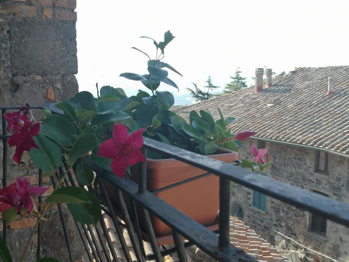 La Gioiosa Apartment Radicofani Exterior foto